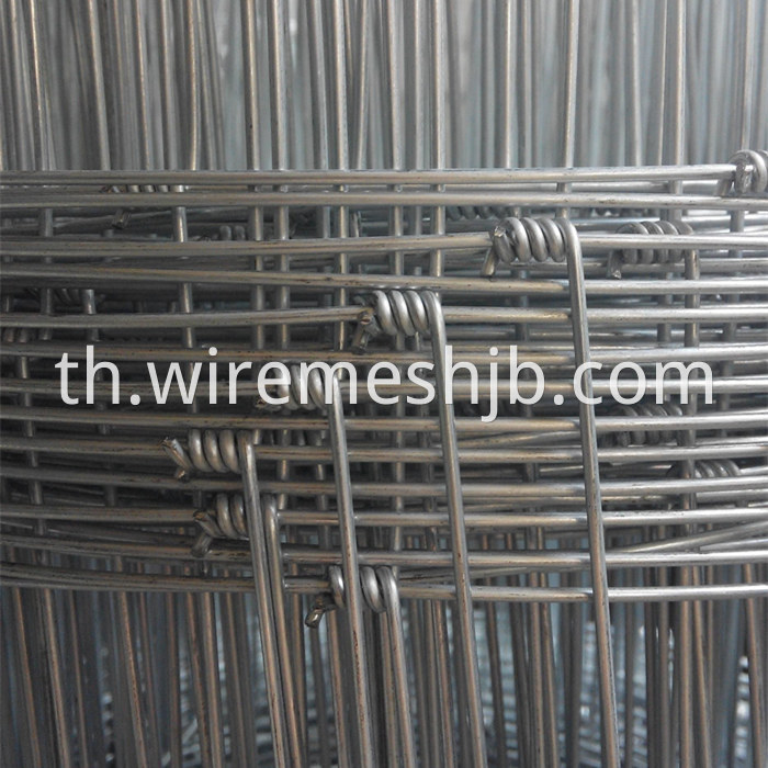 Hot Dipped Galvanized Cattle Fence